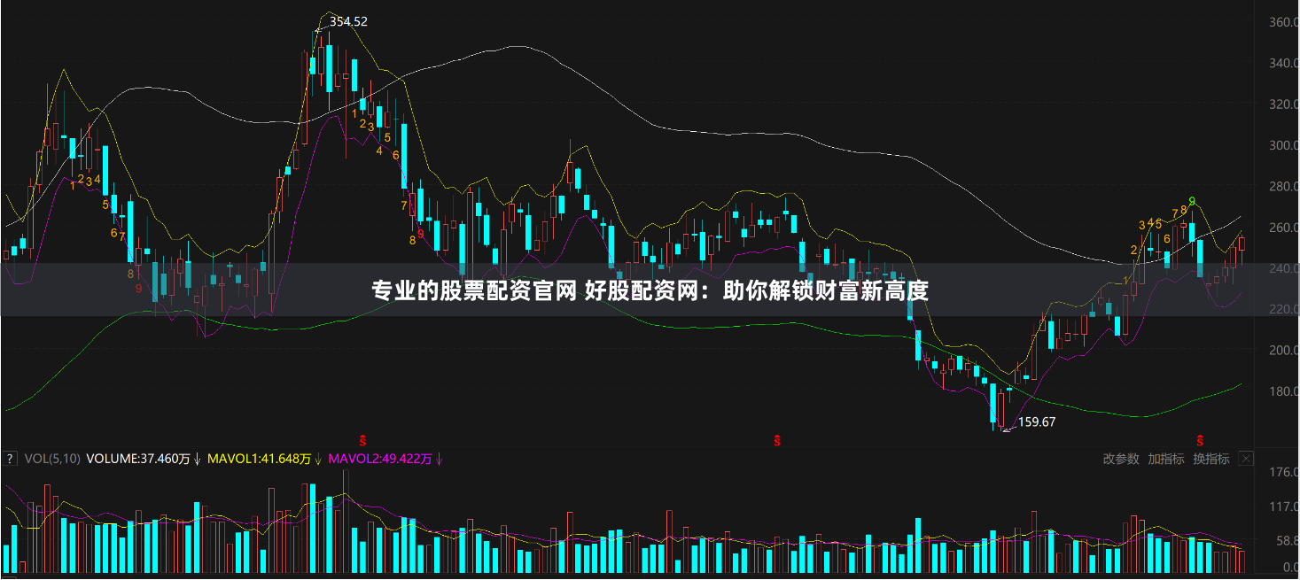 专业的股票配资官网 好股配资网：助你解锁财富新高度