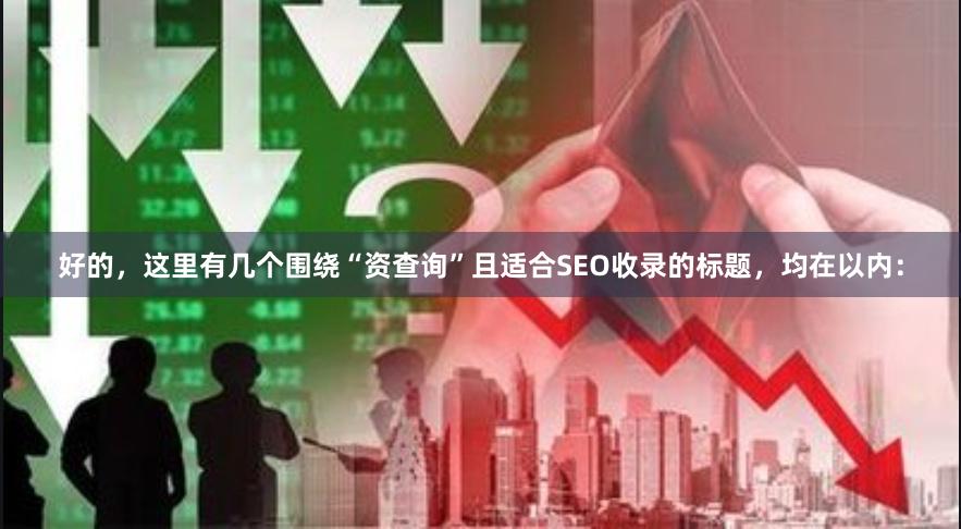 好的，这里有几个围绕“资查询”且适合SEO收录的标题，均在以内：