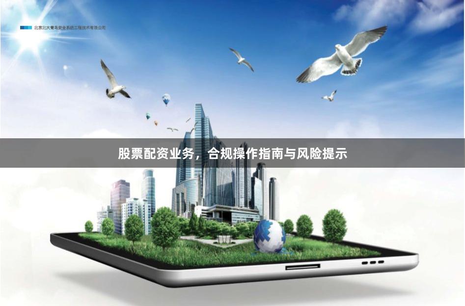股票配资业务,合规操作指南与风险提示