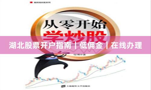 湖北股票开户指南｜低佣金｜在线办理