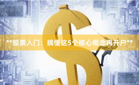 **股票入门：搞懂这5个核心概念再开户**